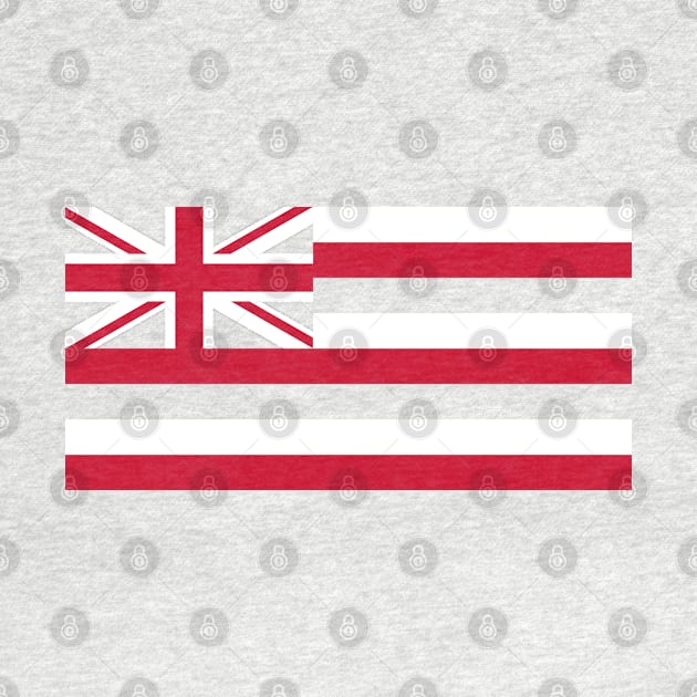 Hawaii State Flag by Historia